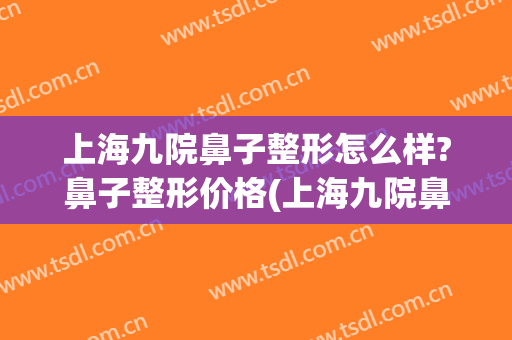 上海九院鼻子整形怎么样?鼻子整形价格(上海九院鼻子整形哪个医生好)