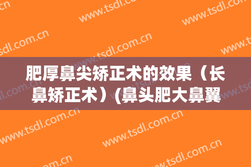 肥厚鼻尖矫正术的效果（长鼻矫正术）(鼻头肥大鼻翼宽矫正图)