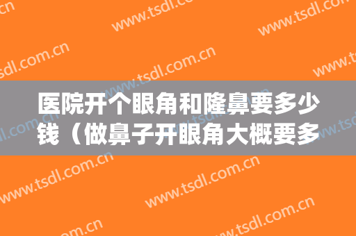 医院开个眼角和隆鼻要多少钱（做鼻子开眼角大概要多少钱）(做个隆鼻手术得多少钱)