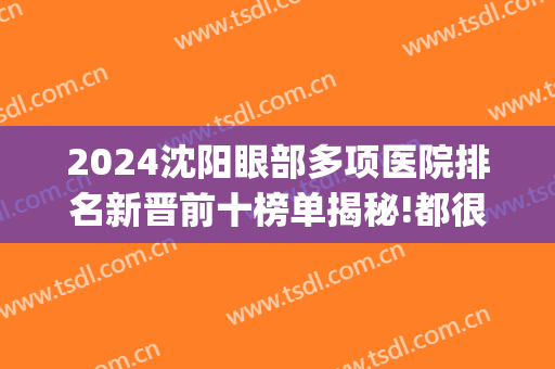 2024沈阳眼部多项医院排名新晋前十榜单揭秘!都很有名气!(沈阳最好的眼睛医院)