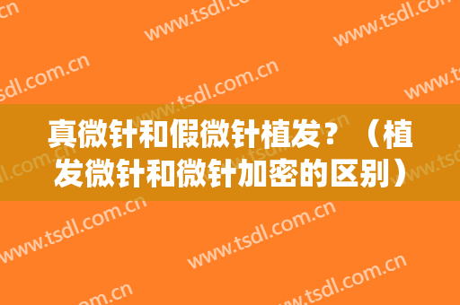 真微针和假微针植发？（植发微针和微针加密的区别）(微针植发是真的吗)