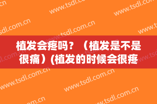 植发会疼吗？（植发是不是很痛）(植发的时候会很疼吗)