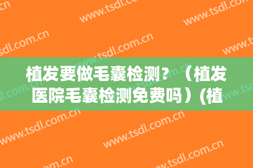 植发要做毛囊检测？（植发医院毛囊检测免费吗）(植发机构免费检测毛囊有啥坑没有)