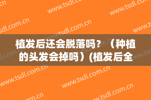 植发后还会脱落吗？（种植的头发会掉吗）(植发后全部脱落吗)