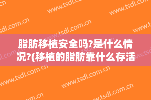 脂肪移植安全吗?是什么情况?(移植的脂肪靠什么存活)