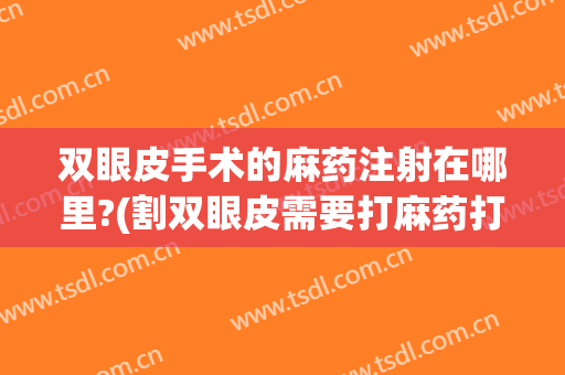 双眼皮手术的麻药注射在哪里?(割双眼皮需要打麻药打哪里)