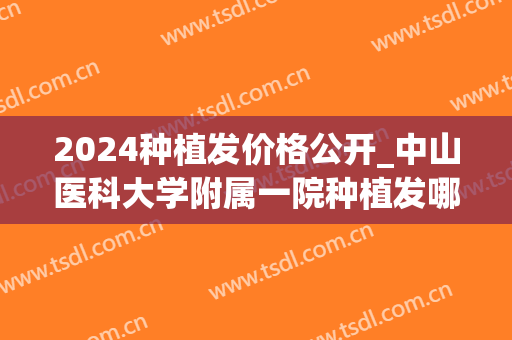 2024种植发价格公开_中山医科大学附属一院种植发哪个医生好(种植头发多少钱一颗2024)