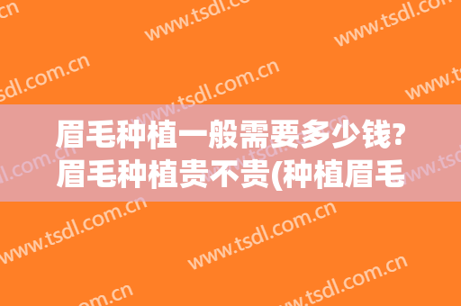 眉毛种植一般需要多少钱?眉毛种植贵不贵(种植眉毛多少钱啊)