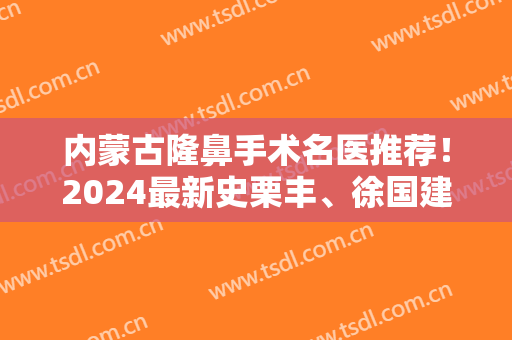 内蒙古隆鼻手术名医推荐！2024最新史栗丰、徐国建、王成毅、杨冬辉、王春燕、隋立强详解！