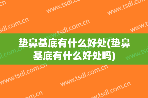 垫鼻基底有什么好处(垫鼻基底有什么好处吗)