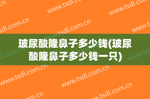 玻尿酸隆鼻子多少钱(玻尿酸隆鼻子多少钱一只)