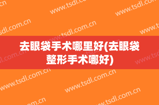 去眼袋手术哪里好(去眼袋整形手术哪好)
