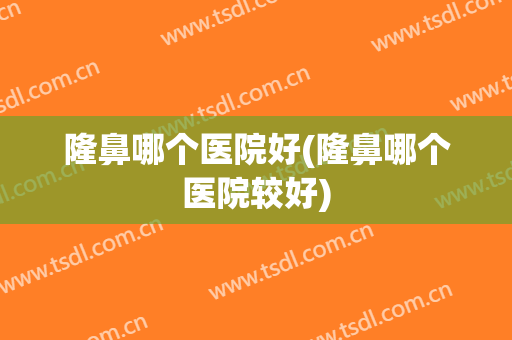 隆鼻哪个医院好(隆鼻哪个医院较好)