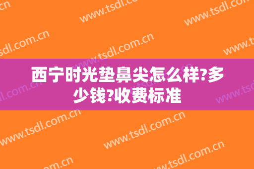 西宁时光垫鼻尖怎么样?多少钱?收费标准