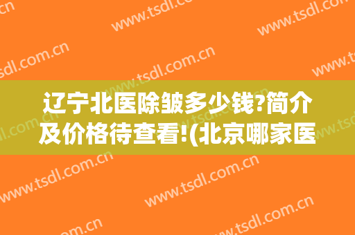 辽宁北医除皱多少钱?简介及价格待查看!(北京哪家医院除皱效果好)