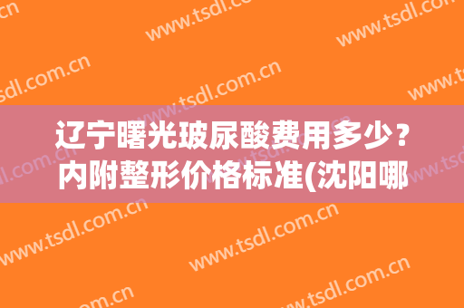 辽宁曙光玻尿酸费用多少？内附整形价格标准(沈阳哪个医院注射玻尿酸好)