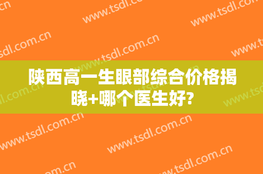 陕西高一生眼部综合价格揭晓+哪个医生好?