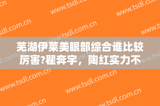芜湖伊莱美眼部综合谁比较厉害?翟奔宇，陶红实力不错