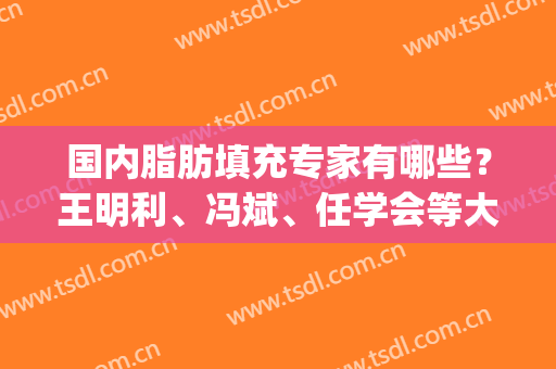 国内脂肪填充专家有哪些？王明利、冯斌、任学会等大咖盘点，各有优势！(王明利脂肪填充案例)
