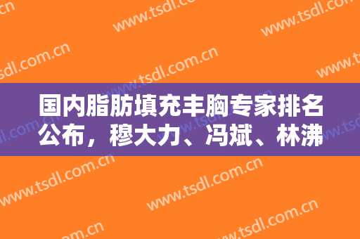 国内脂肪填充丰胸专家排名公布，穆大力、冯斌、林沸腾等技术各有千秋