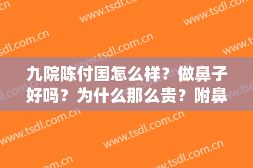 九院陈付国怎么样？做鼻子好吗？为什么那么贵？附鼻综合案例(陈付国医生做鼻子12万)