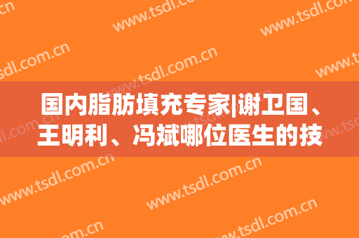 国内脂肪填充专家|谢卫国、王明利、冯斌哪位医生的技术比较好？附价格表