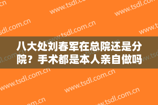 八大处刘春军在总院还是分院？手术都是本人亲自做吗？附去眼袋案例