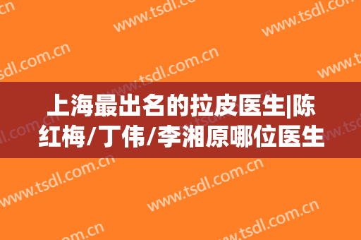 上海最出名的拉皮医生|陈红梅/丁伟/李湘原哪位医生的技术好些？附价格表