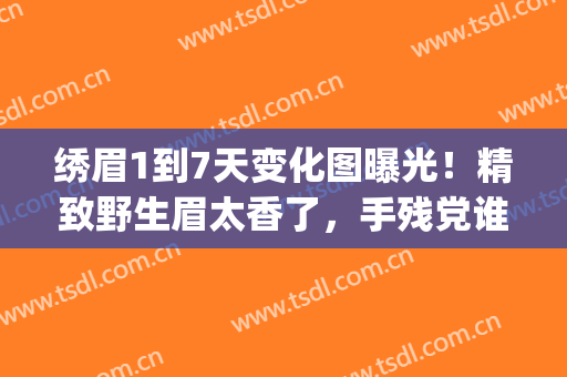 绣眉1到7天变化图曝光！精致野生眉太香了，手残党谁能拒绝？(最新的绣眉技术图片)