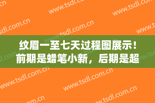 纹眉一至七天过程图展示！前期是蜡笔小新，后期是超级辣妹，绝绝子~(纹眉后跟蜡笔小新一样)