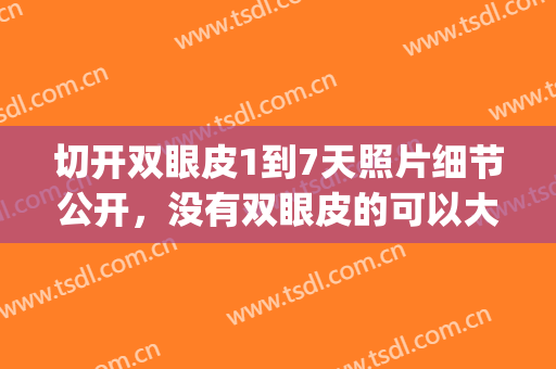 切开双眼皮1到7天照片细节公开，没有双眼皮的可以大胆选择!!(切开双眼皮1到7天图)