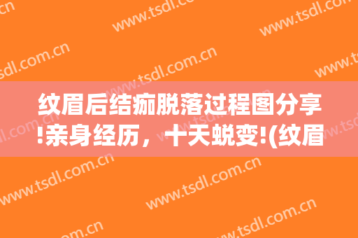 纹眉后结痂脱落过程图分享!亲身经历，十天蜕变!(纹眉掉痂整个过程图片)
