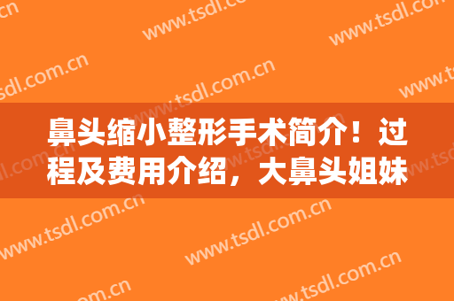 鼻头缩小整形手术简介！过程及费用介绍，大鼻头姐妹们必看科普！(手术缩小鼻头价格)