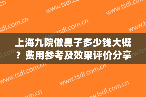 上海九院做鼻子多少钱大概？费用参考及效果评价分享，新攻略！(上海九院鼻部整形价格)