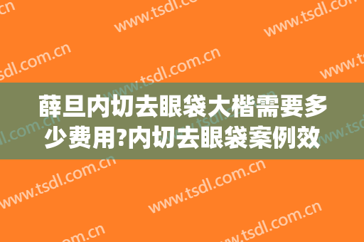薛旦内切去眼袋大楷需要多少费用?内切去眼袋案例效果对比图_好大夫工作室