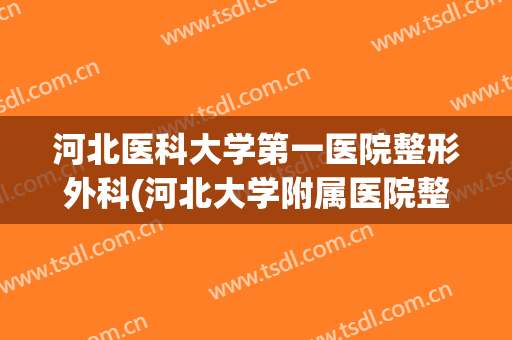 河北医科大学第一医院整形外科(河北大学附属医院整形外科)