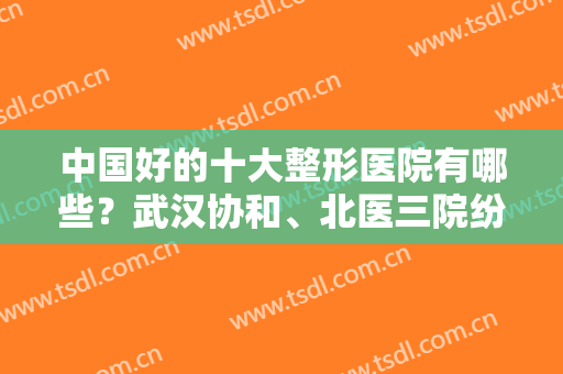 中国好的十大整形医院有哪些？武汉协和、北医三院纷纷上榜！实力曝光~