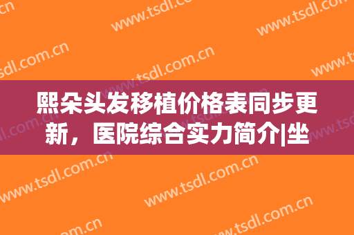 熙朵头发移植价格表同步更新，医院综合实力简介|坐诊医生信息介绍(武汉熙朵头发移植怎么样)