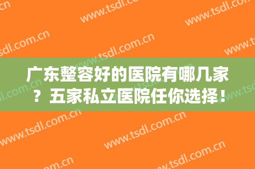 广东整容好的医院有哪几家？五家私立医院任你选择！(广东最大的整形医院)