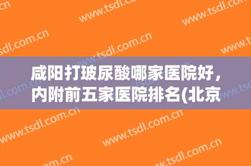 咸阳打玻尿酸哪家医院好，内附前五家医院排名(北京打玻尿酸的正规医院)