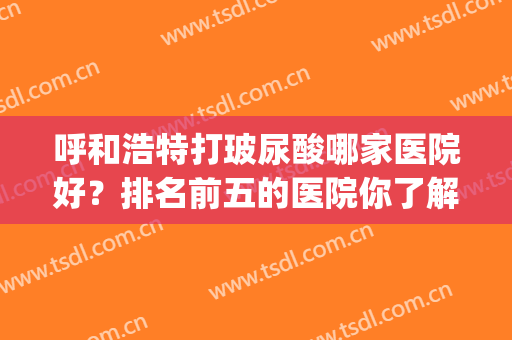 呼和浩特打玻尿酸哪家医院好？排名前五的医院你了解吗？(医院打的玻尿酸是什么牌子)