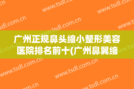 广州正规鼻头缩小整形美容医院排名前十(广州鼻翼缩小哪个整形医院最好) 广州正规鼻头缩小整形美容医院排名前十(广州鼻翼缩小哪个整形医院最好)
