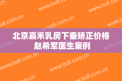 北京嘉禾乳房下垂矫正价格 赵希军医生案例