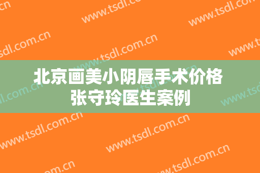 北京画美小阴唇手术价格 张守玲医生案例