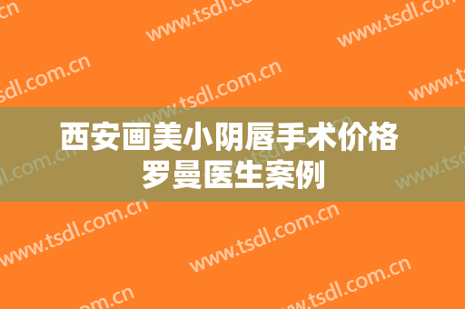 西安画美小阴唇手术价格 罗曼医生案例