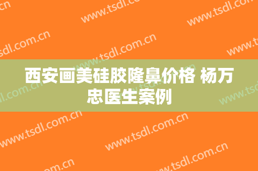 西安画美硅胶隆鼻价格 杨万忠医生案例