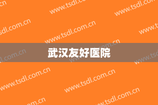 武汉友好医院