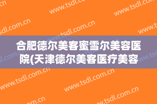 合肥德尔美客蜜雪尔美容医院(天津德尔美客医疗美容)