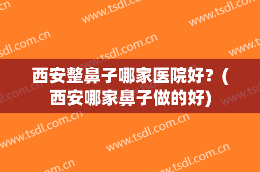 西安整鼻子哪家医院好？(西安哪家鼻子做的好)