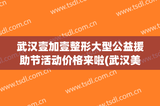 武汉壹加壹整形大型公益援助节活动价格来啦(武汉美加壹整形美容医院)